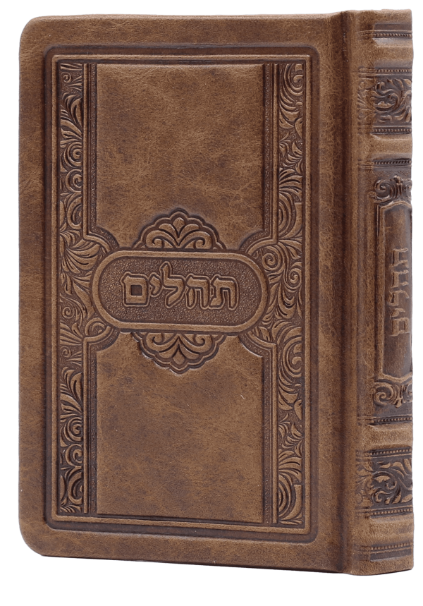 תהילים – אלטנוי חום 41