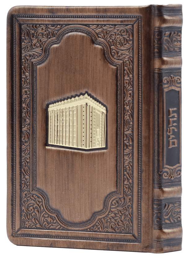 תהילים – ברונזה 30 + פלקטה היכל