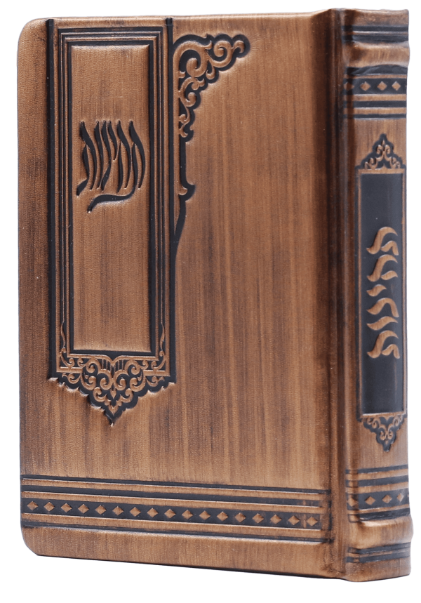 תחינות – ברונזה 50